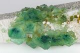 Green, Octahedral Fluorite on Milky Quartz - Inner Mongolia #181713-2